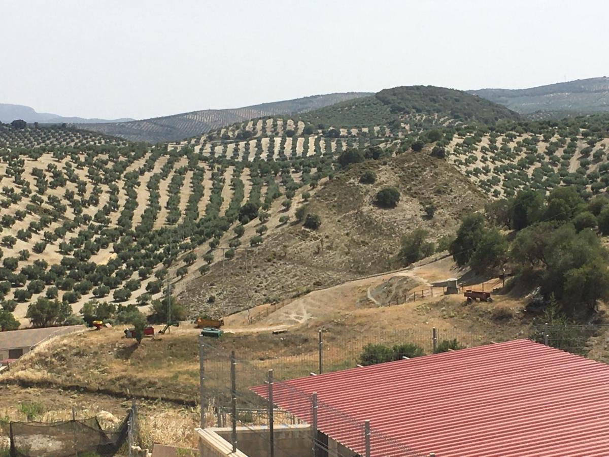 Apartamento Turistico Mirador De Sierra Magina Noalejo Entre Granada Y Jaen Ngoại thất bức ảnh